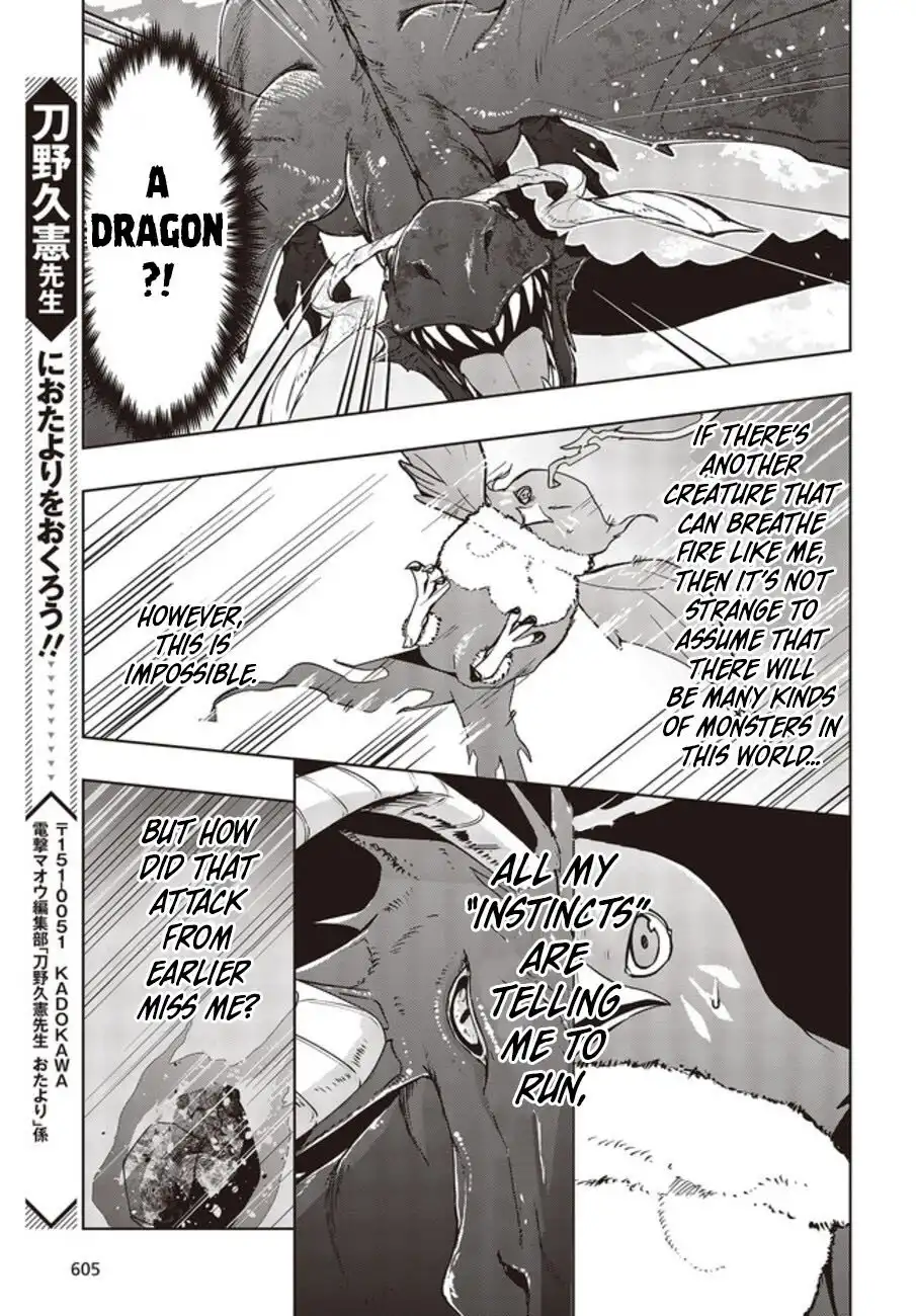 Reborn as a Phoenix: A Normal Bird Can't Beat a Dragon, Right? Chapter 2 24